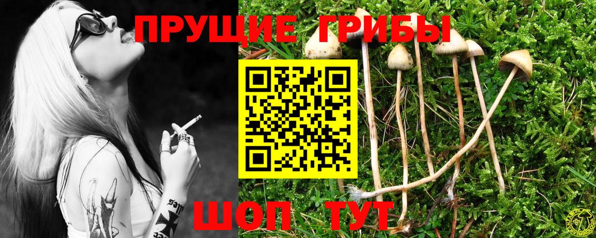 Галлюциногенные грибы MAGIC MUSHROOMS  Вход с VPN  Галлюциногенные грибы MAGIC MUSHROOMS  Буйнакск 