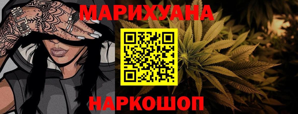 Конопля сатива Буйнакск